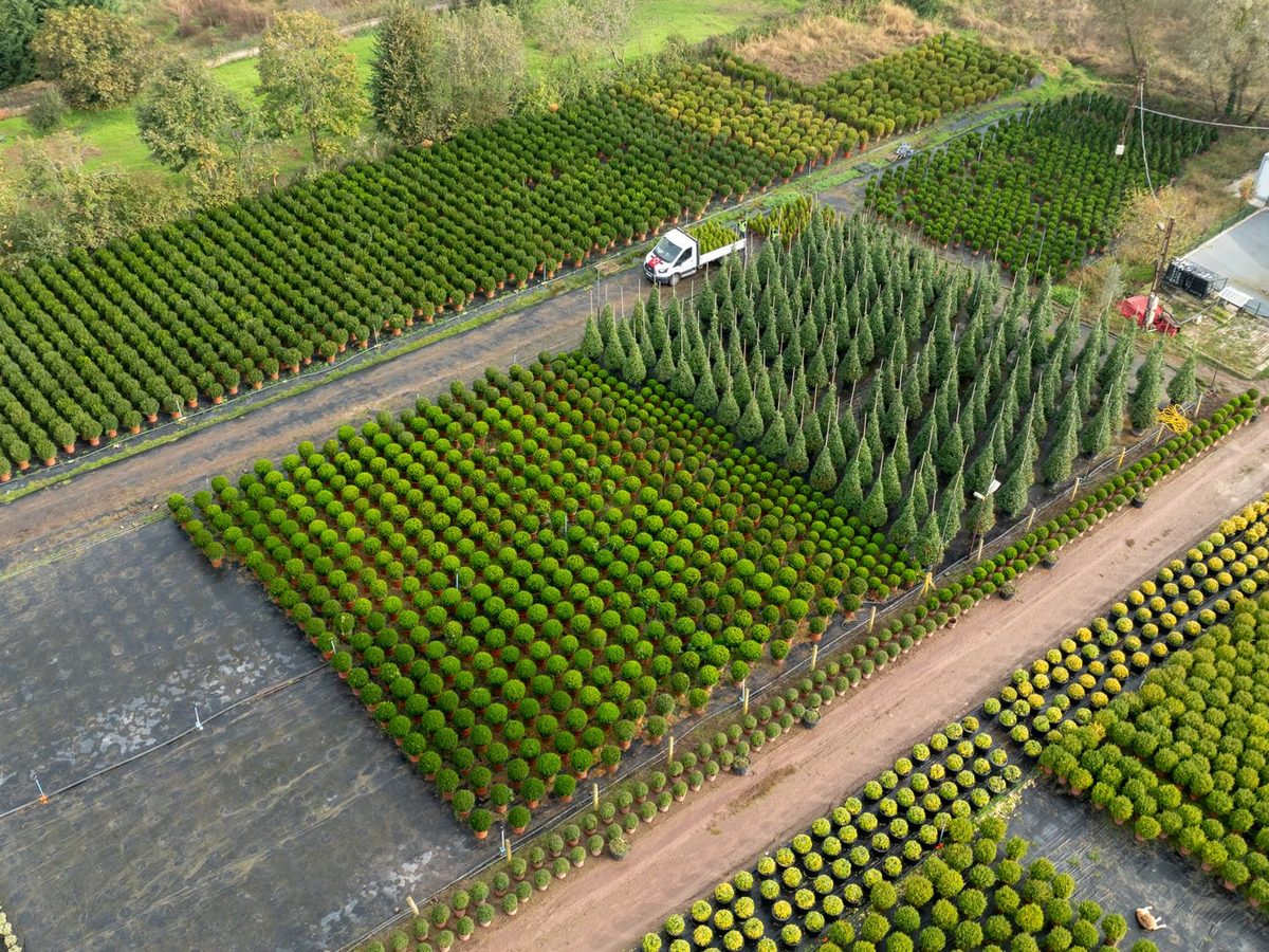 Aerial view of the Agri Dream nursery grounds