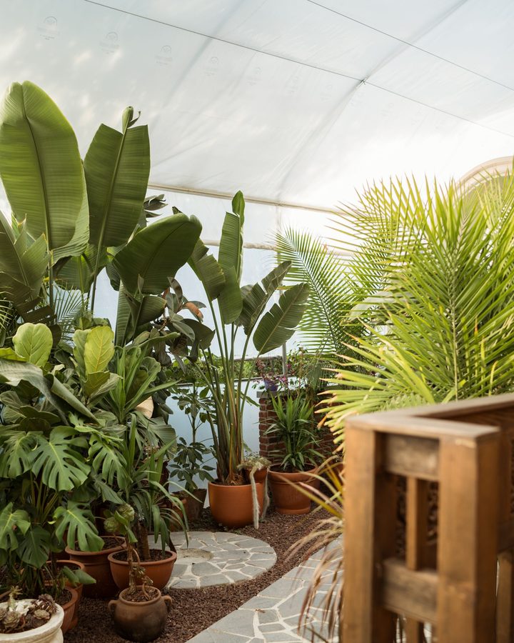 Indoor & Patio