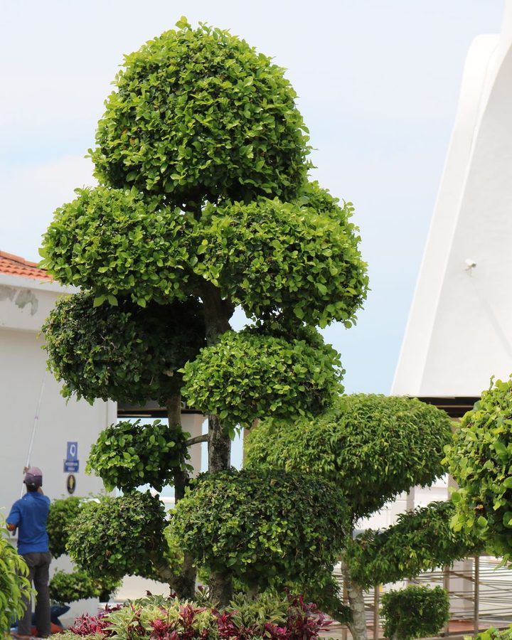 Outdoor Landscape